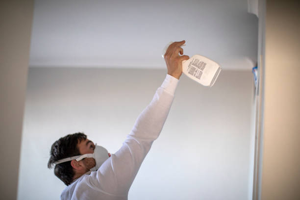 Best Crawl Space Mold Removal  in East Lake, FL